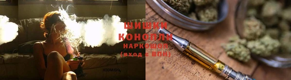 гидра Алексин